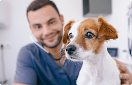 Animal health
