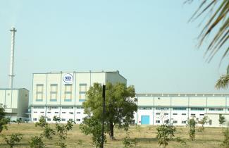 Vemula plant at a glance